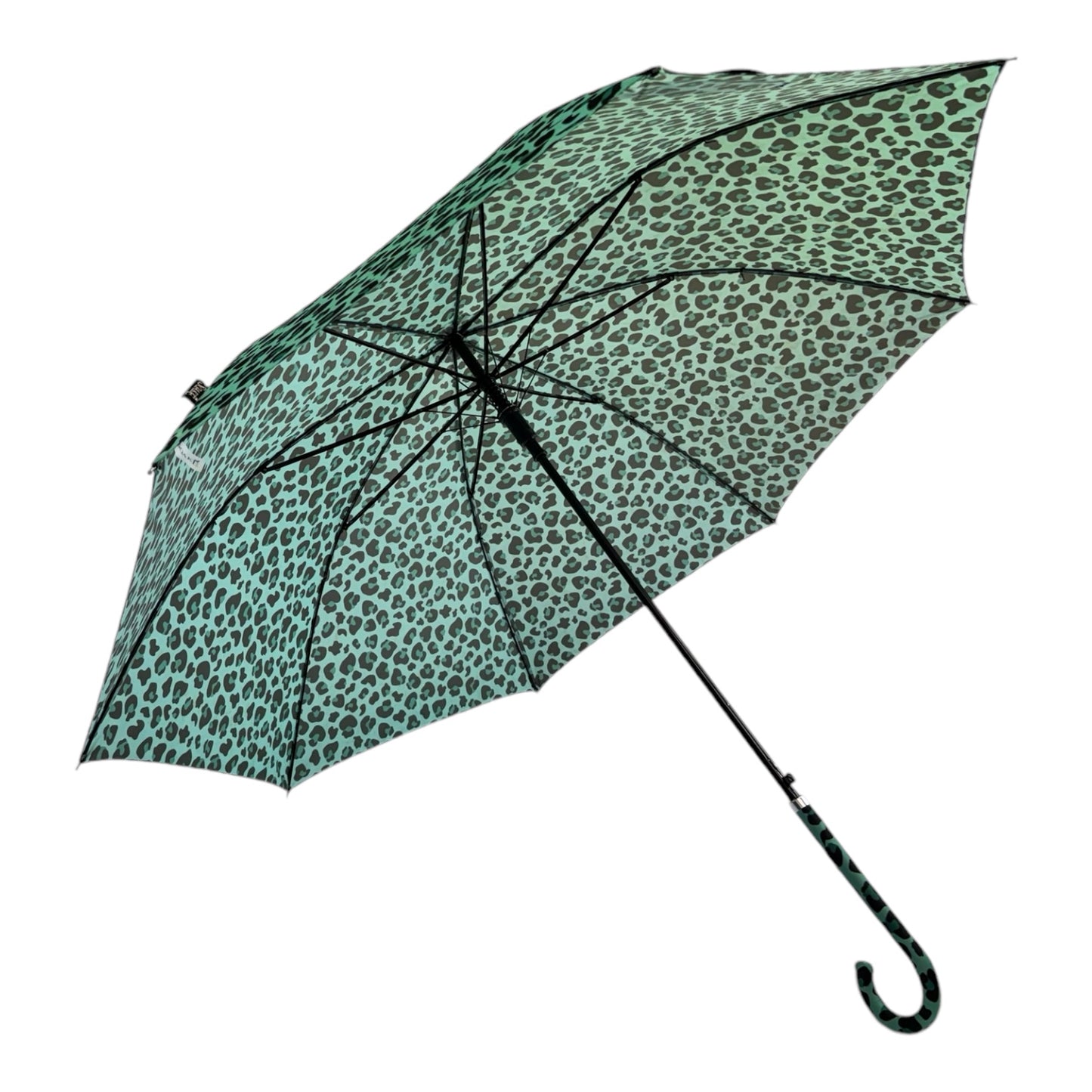 Retro Leopard Print in Mint Green with matching handle