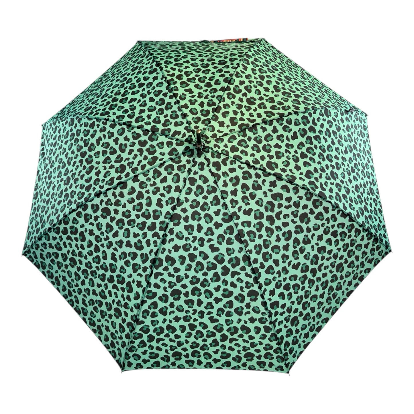 Retro Leopard Print in Mint Green with matching handle