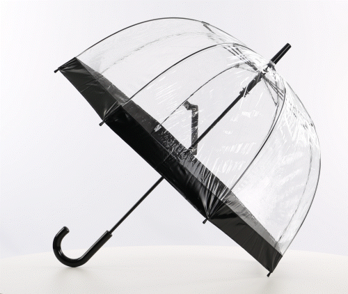 Everyday Clear Vinyl Dome Umbrella Black