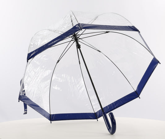 Everyday Clear Vinyl Dome Umbrella Blue