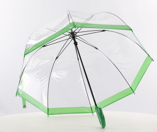 Everyday Clear Vinyl Dome Umbrella Green