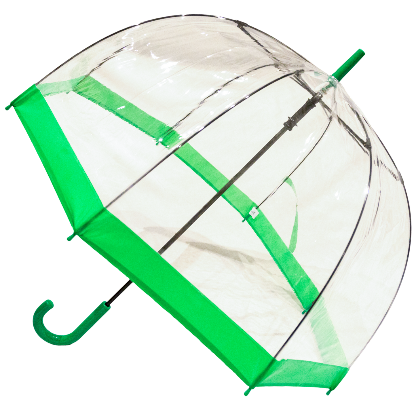 Everyday Clear Vinyl Dome Umbrella Green