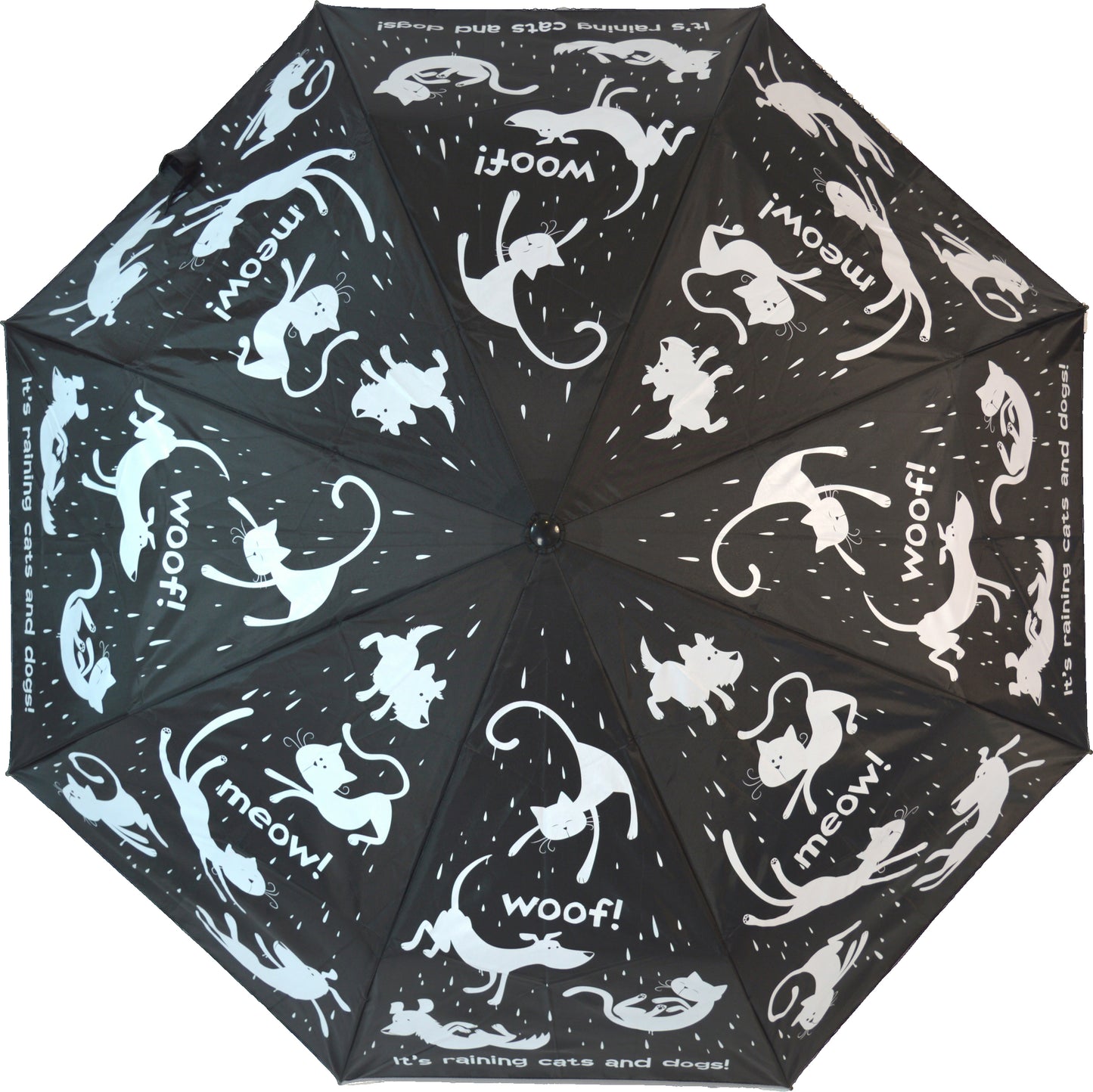 Everyday Raining Cats & Dogs Folding (with sleeve)