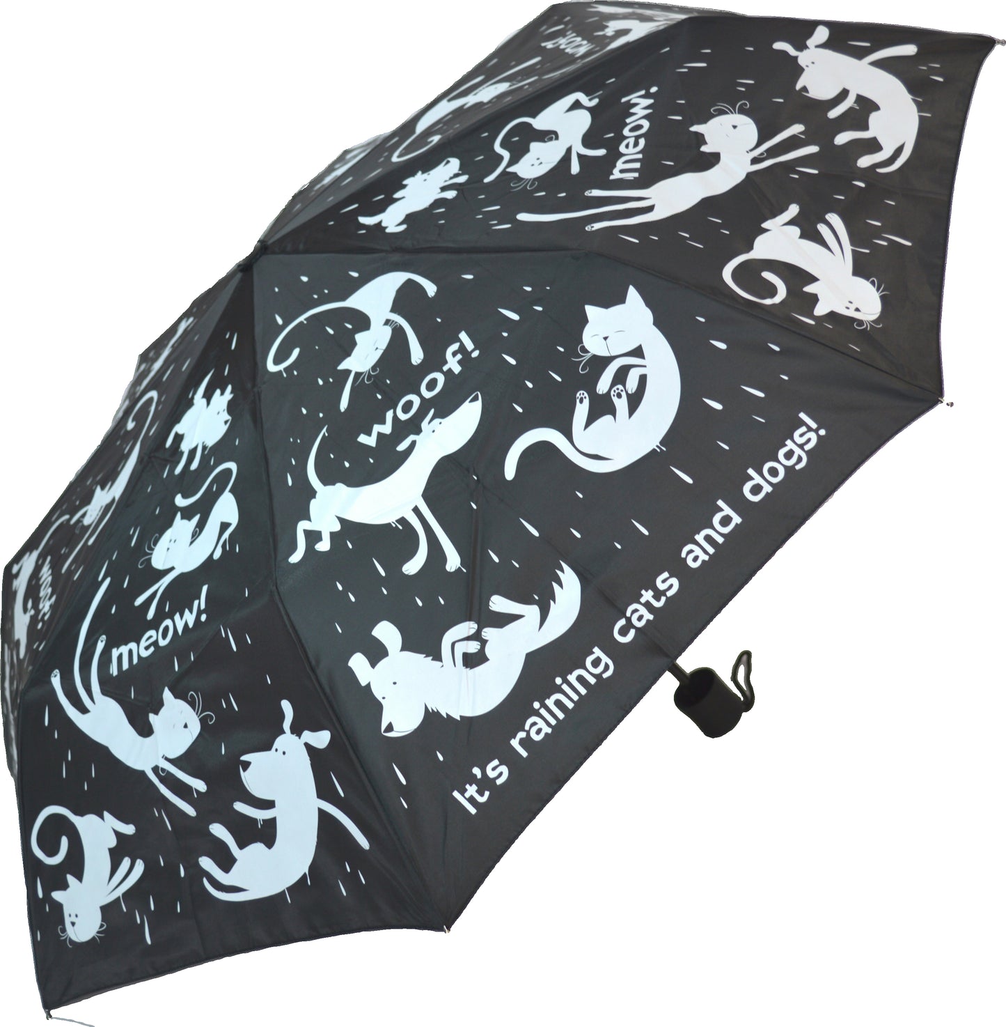 Everyday Raining Cats & Dogs Folding (with sleeve)