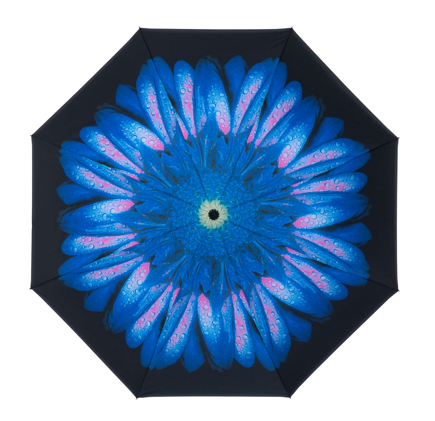 Everyday Inside Out Blue Daisy Stick
