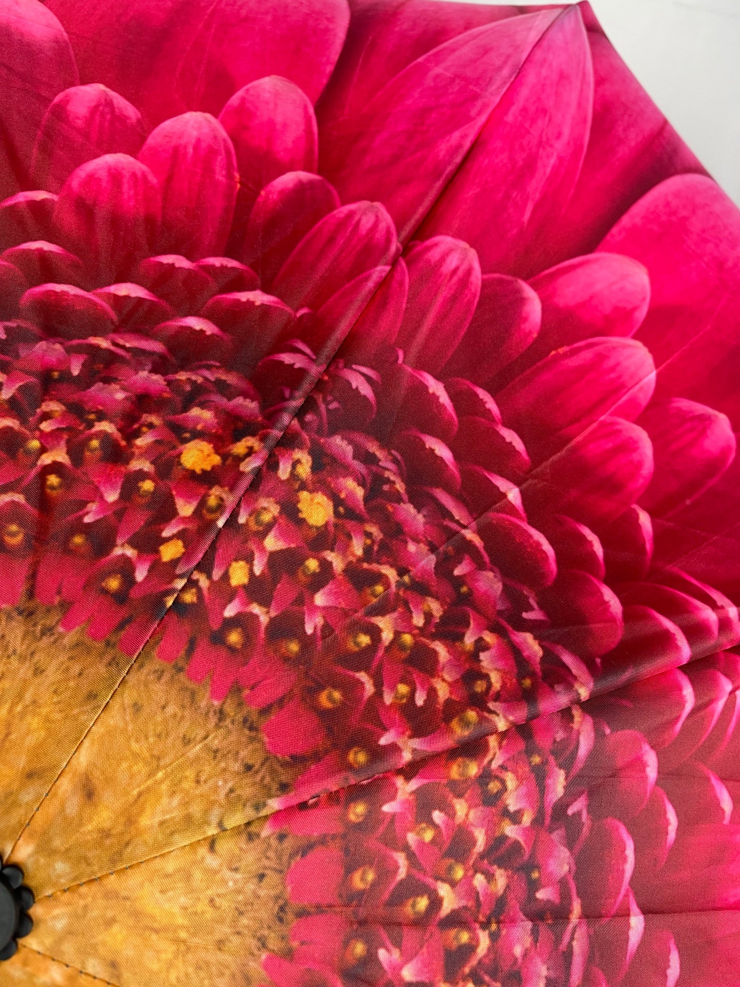 Everyday Inside Out Gerbera Daisy Stick