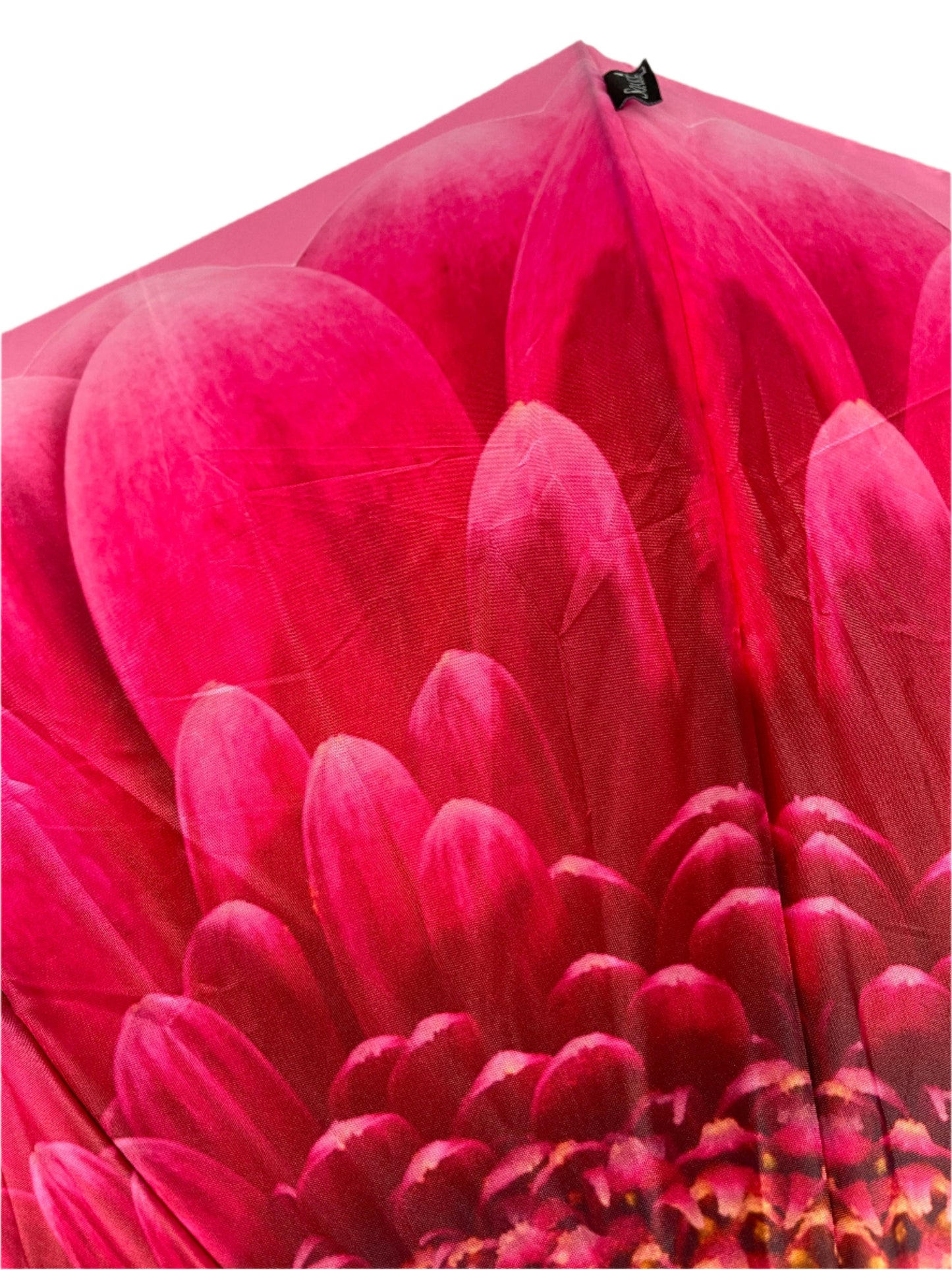 Everyday Inside Out Gerbera Daisy Stick