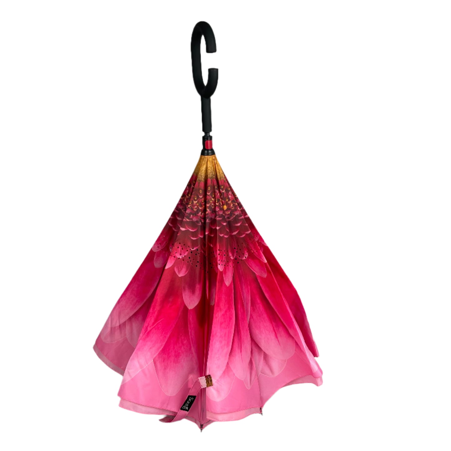 Everyday Inside Out Gerbera Daisy Stick