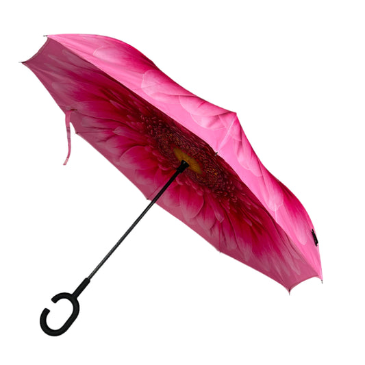 Everyday Inside Out Gerbera Daisy Stick