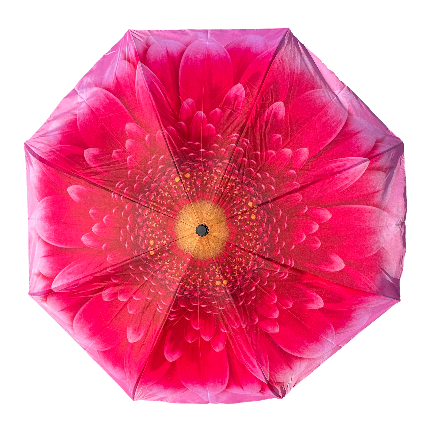 Everyday Inside Out Gerbera Daisy Stick