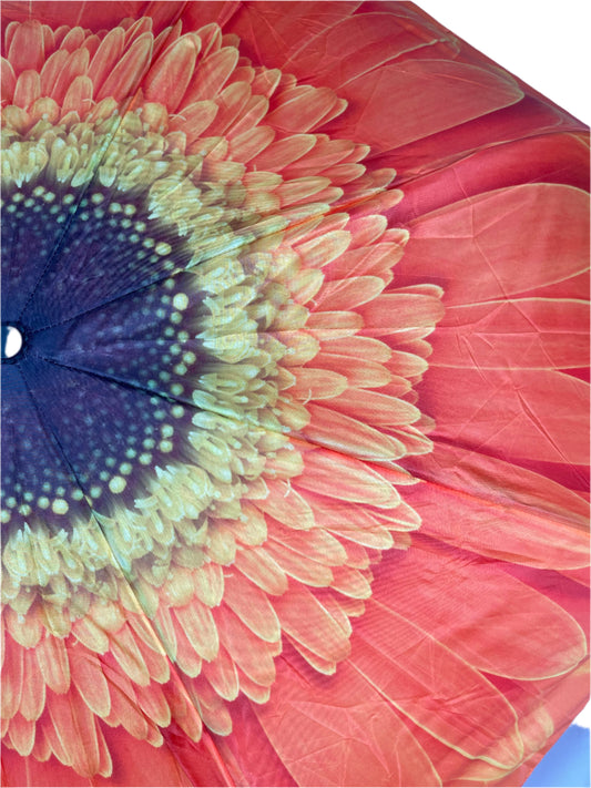 Everyday Inside Out Orange Daisy Stick