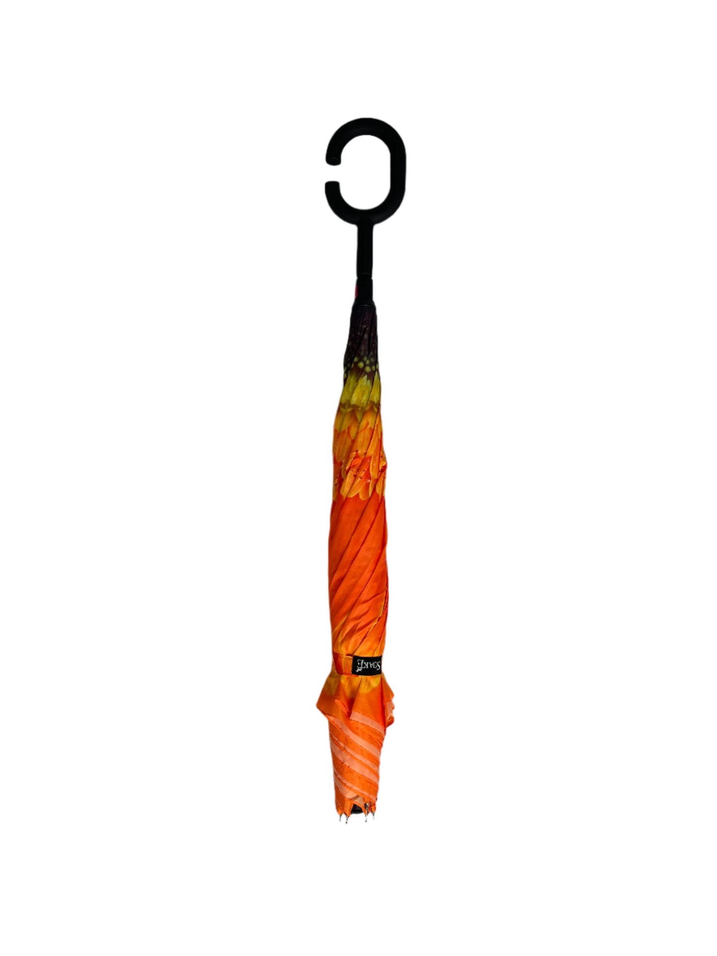 Everyday Inside Out Orange Daisy Stick