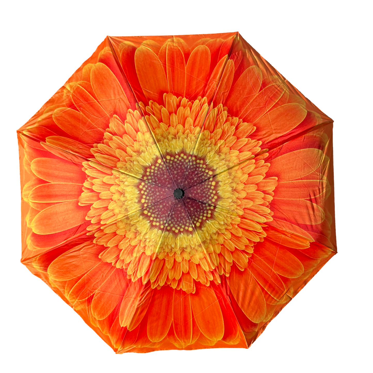Everyday Inside Out Orange Daisy Stick