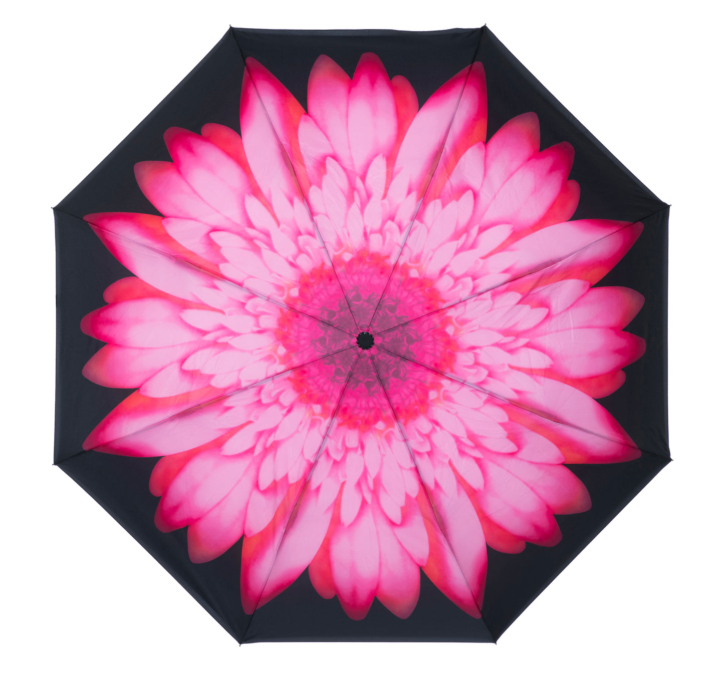 Everyday Inside Out Pink Daisy Stick