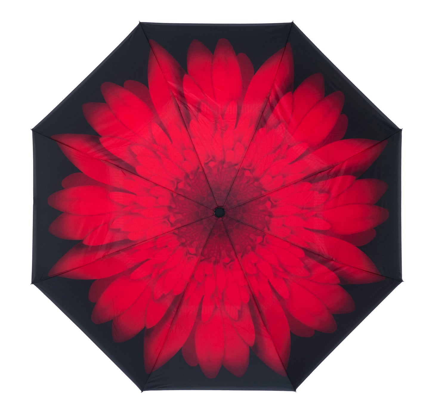 Everyday Inside Out Red Daisy Stick