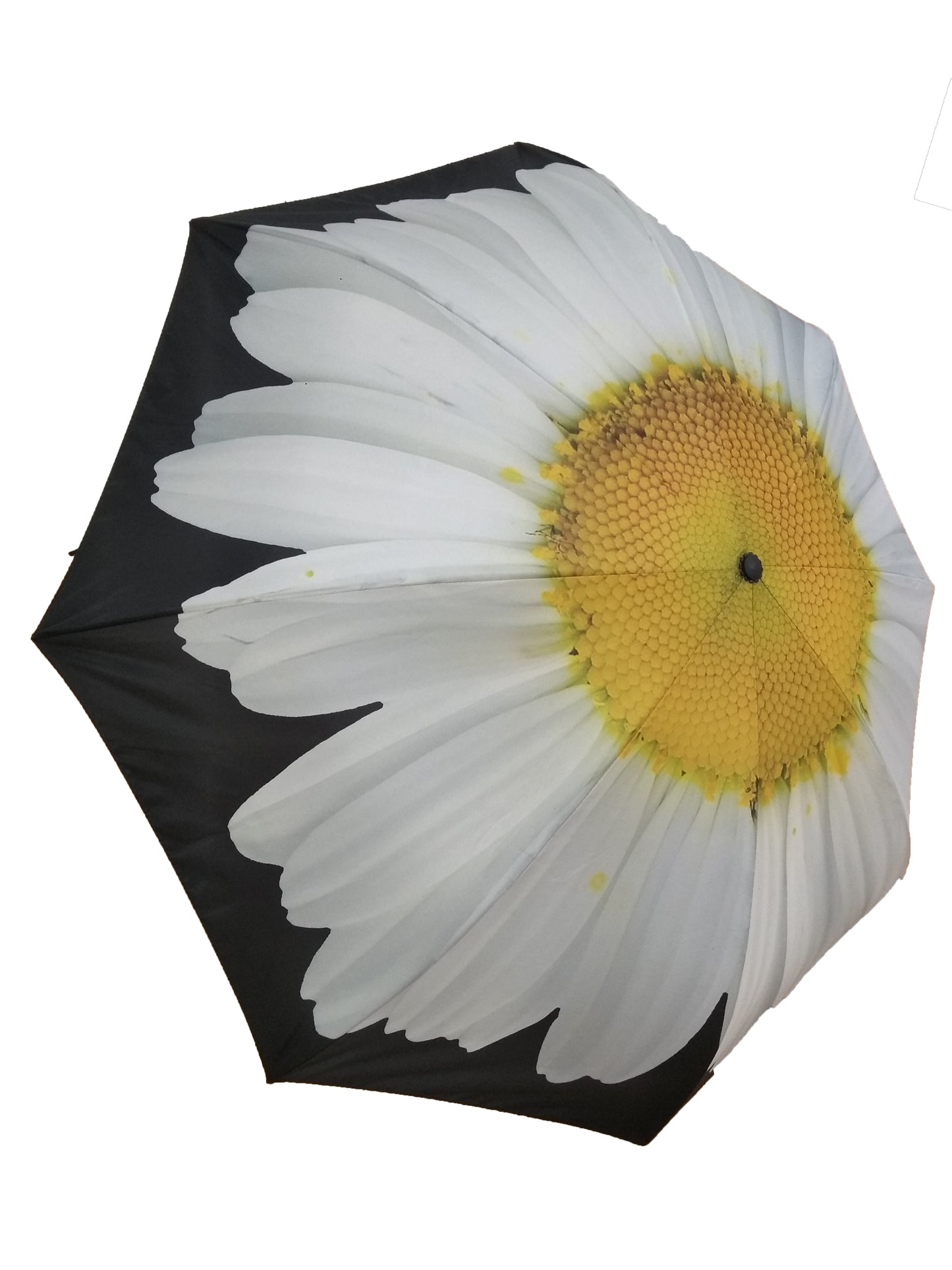 Everyday Inside Out Umbrella White Daisy Stick