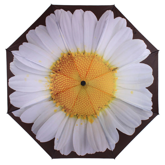 Everyday Inside Out Umbrella White Daisy Stick