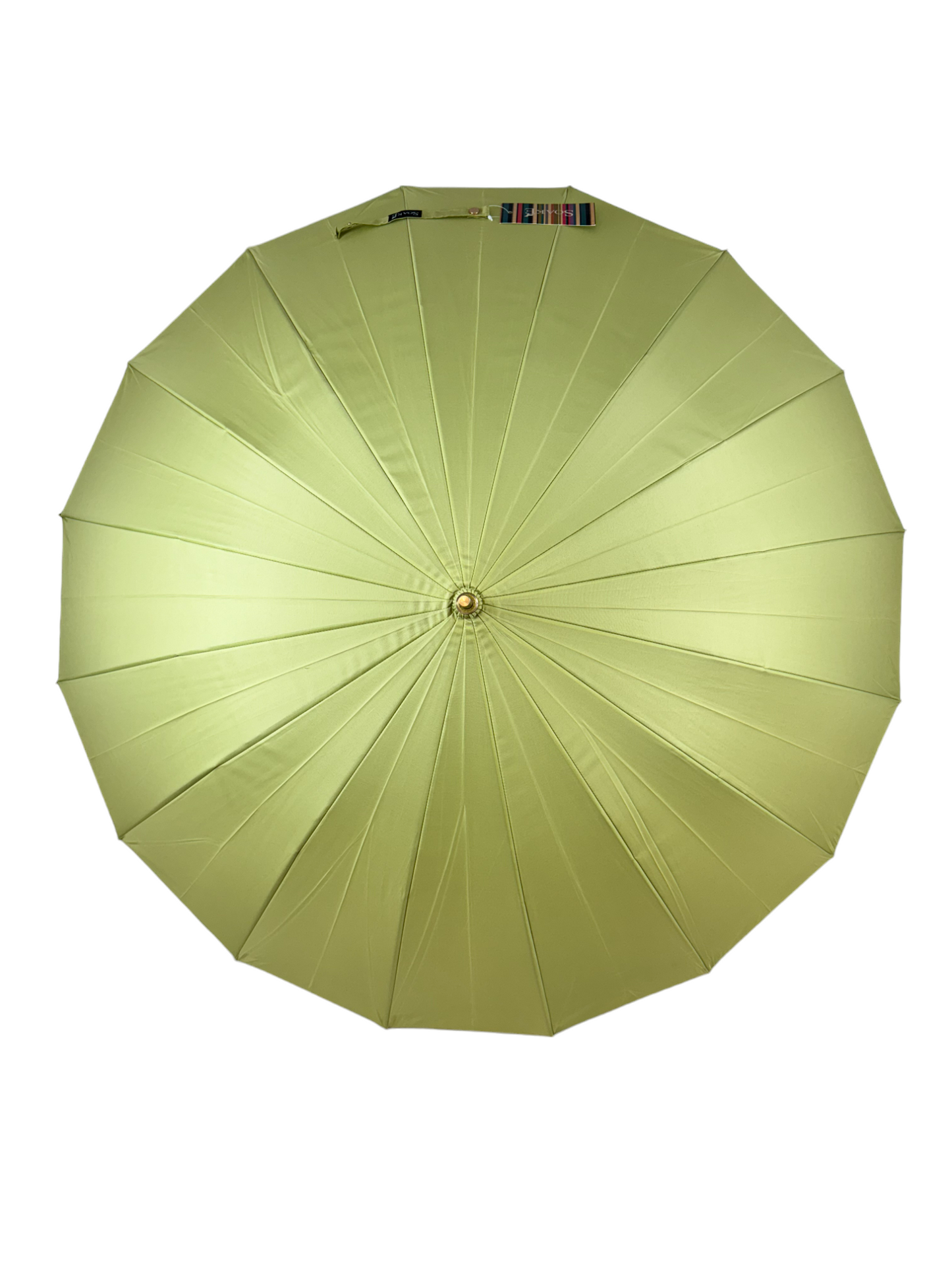 Everyday Classic Colour change Avocado Green