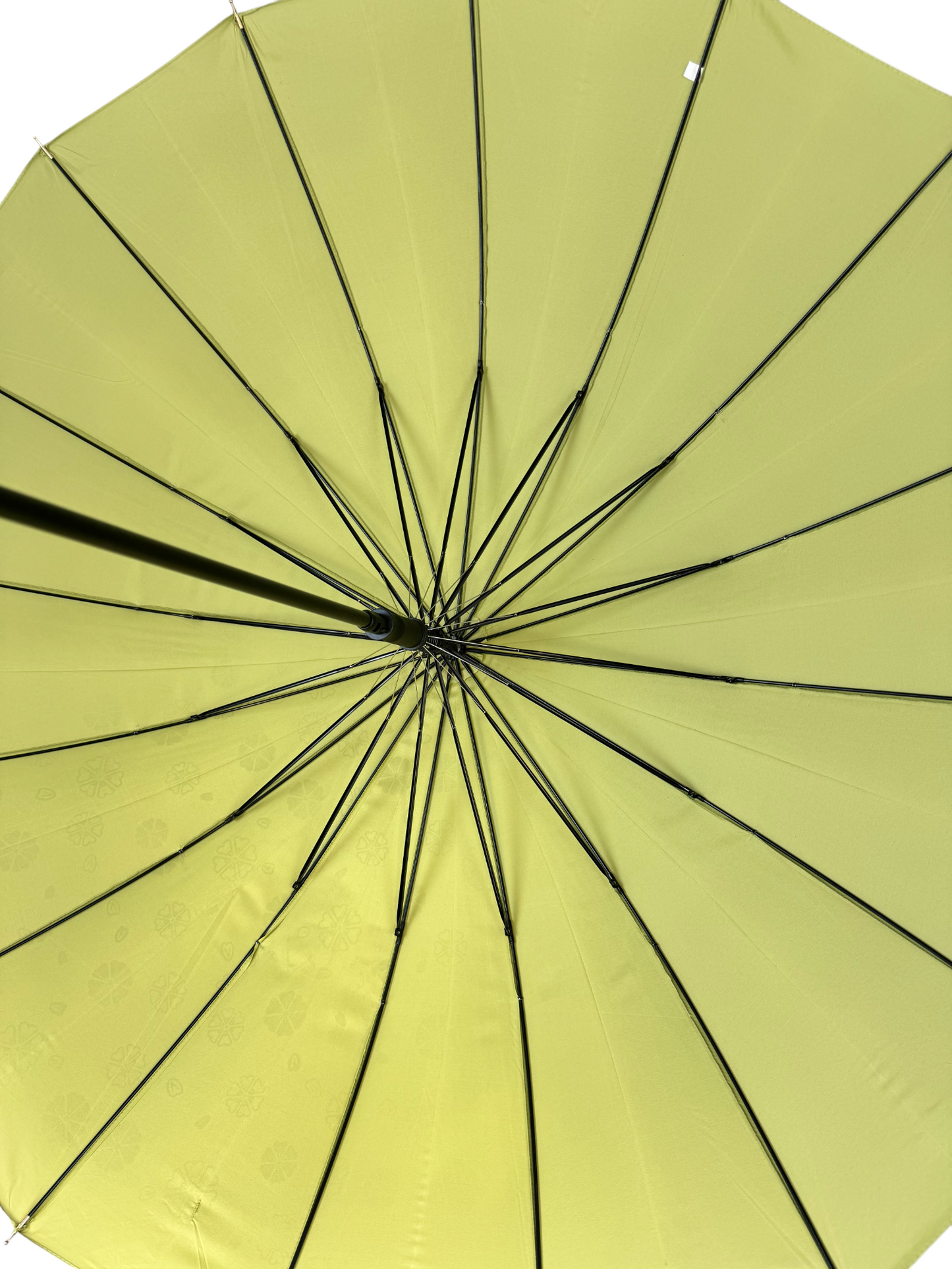 Everyday Classic Colour change Avocado Green