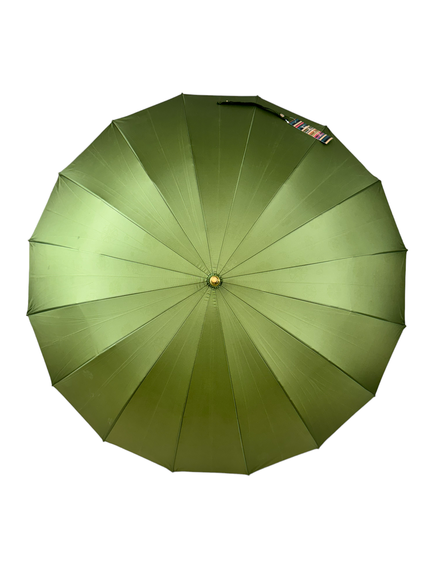 Everyday Classic Colour change Forest Green