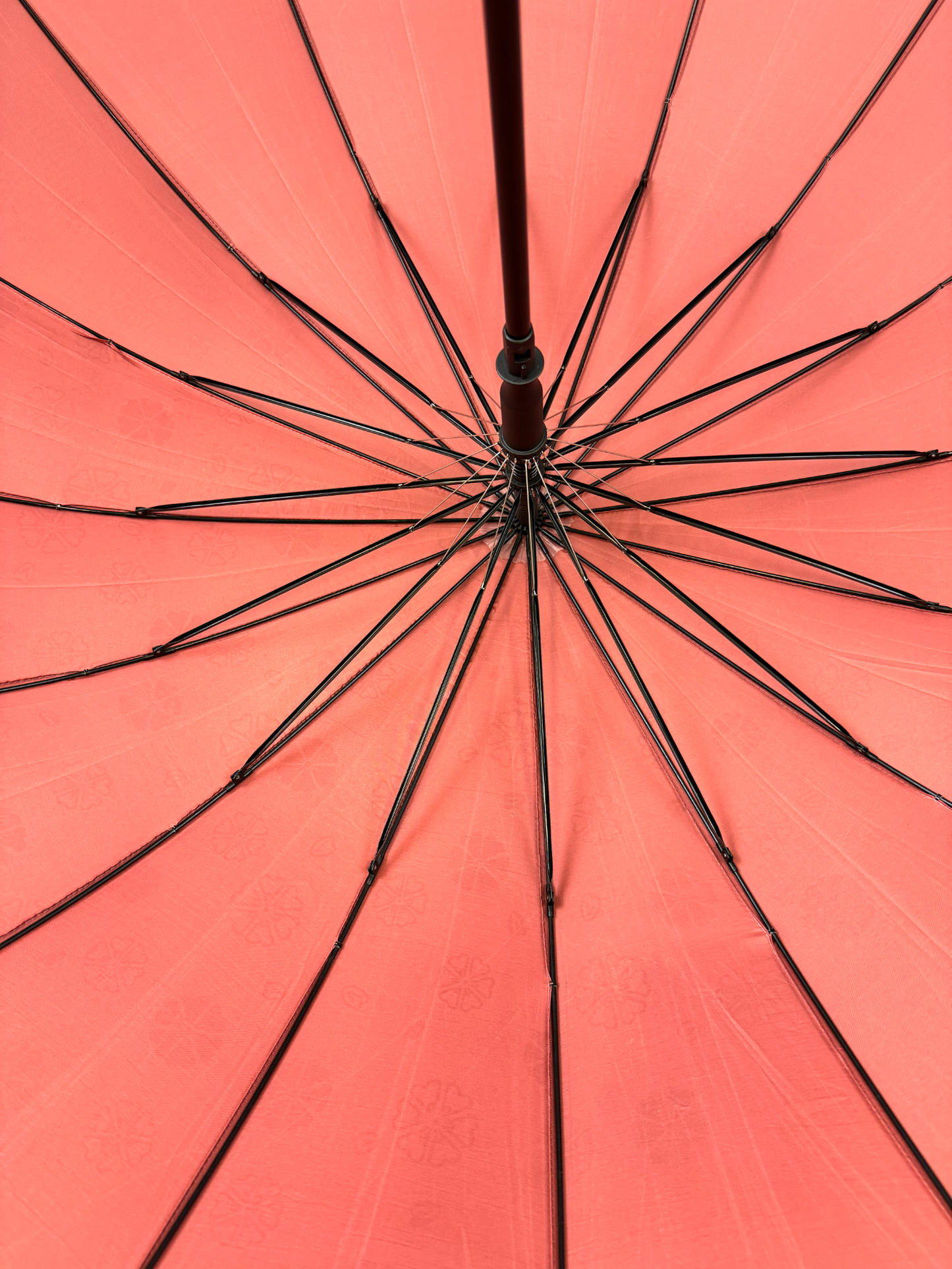 Everyday Classic Colour change Peachy Pink