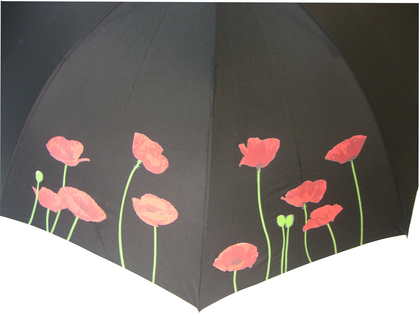 Everyday Poppy Colour Change Stick umbrella