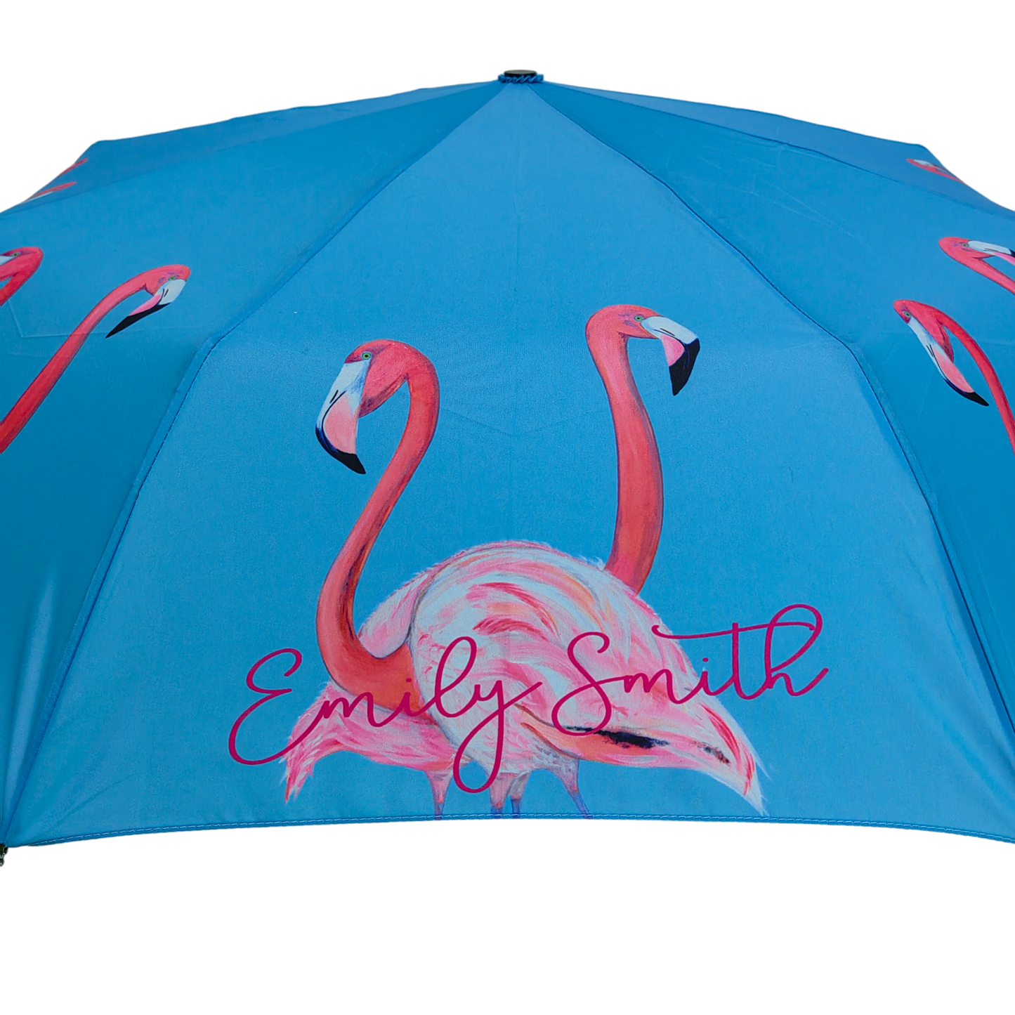 Emily Smith Designs Flossy & Amber Compact Umbrella