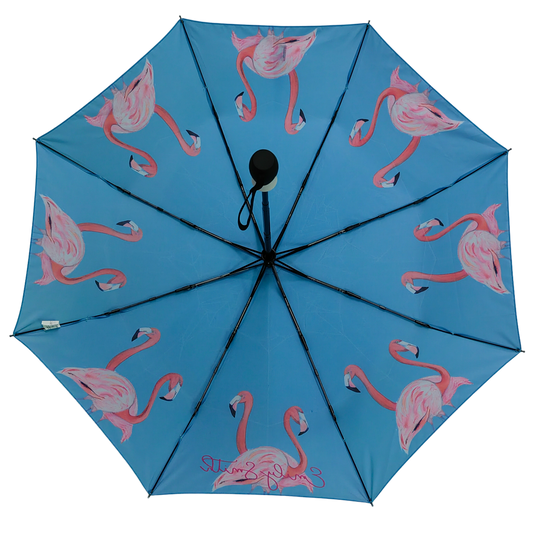 Emily Smith Designs Flossy & Amber Compact Umbrella