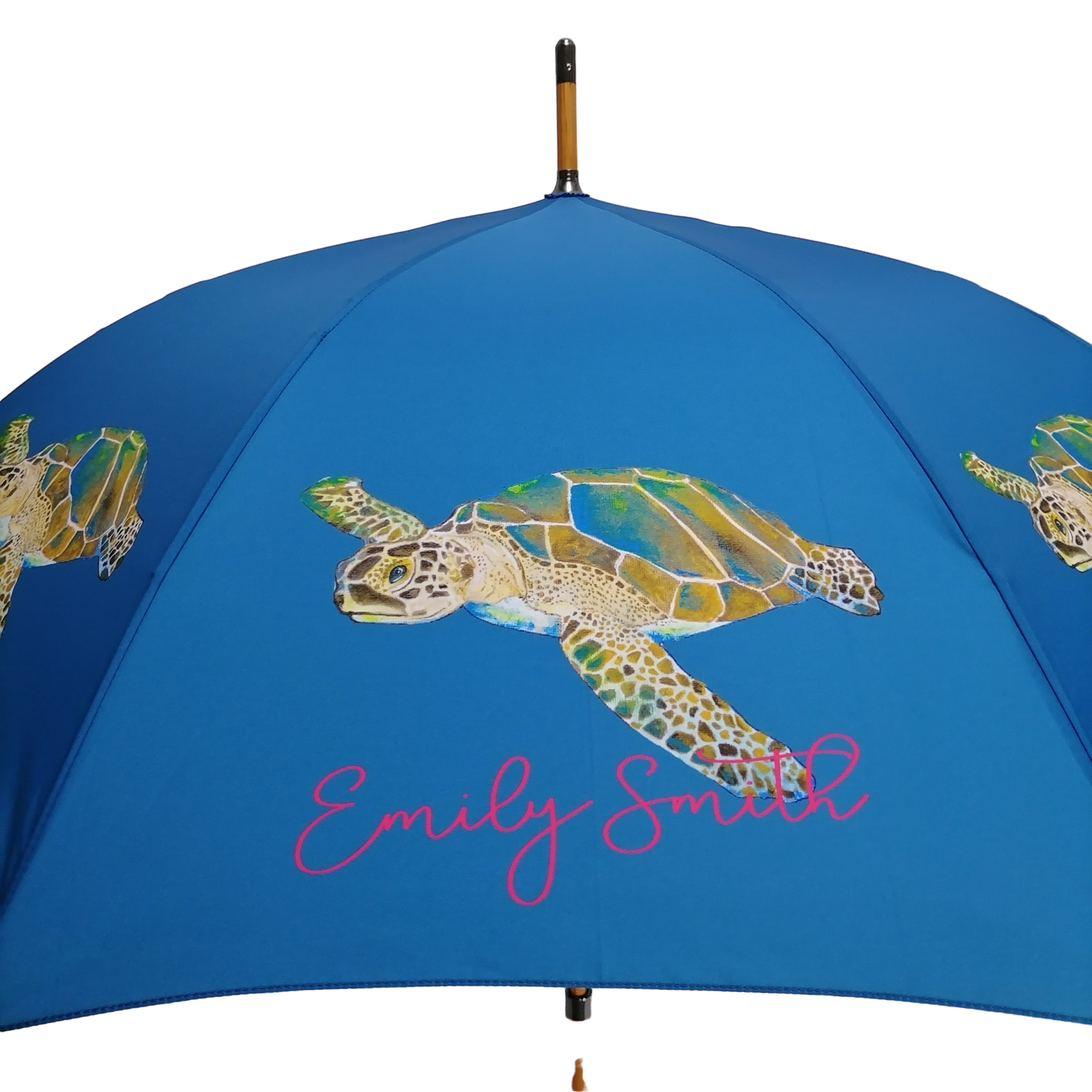 Emily Smith Designs Thomas Umbrella