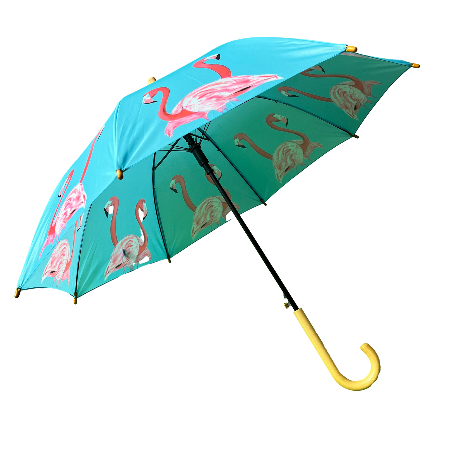 Emily Smith Designs Flossy & Amber Umbrella for Kids
