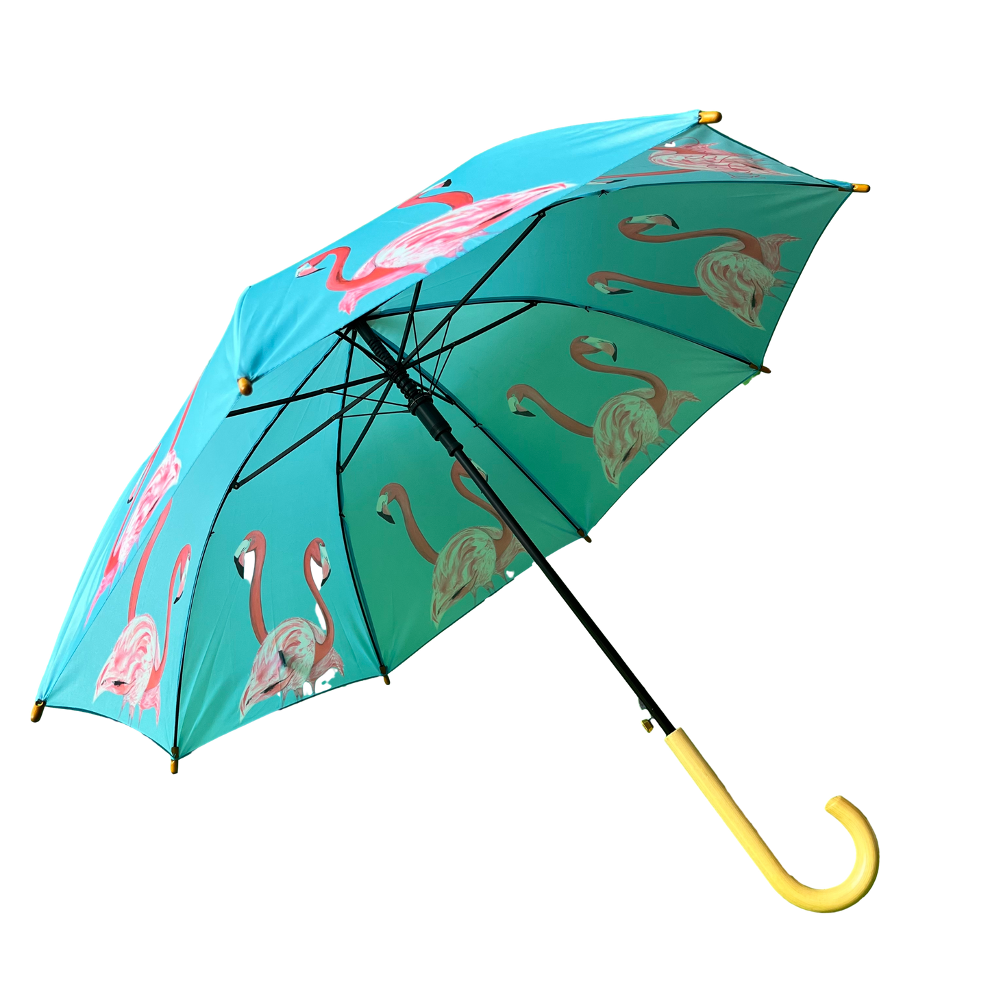 Emily Smith Designs Flossy & Amber Umbrella for Kids