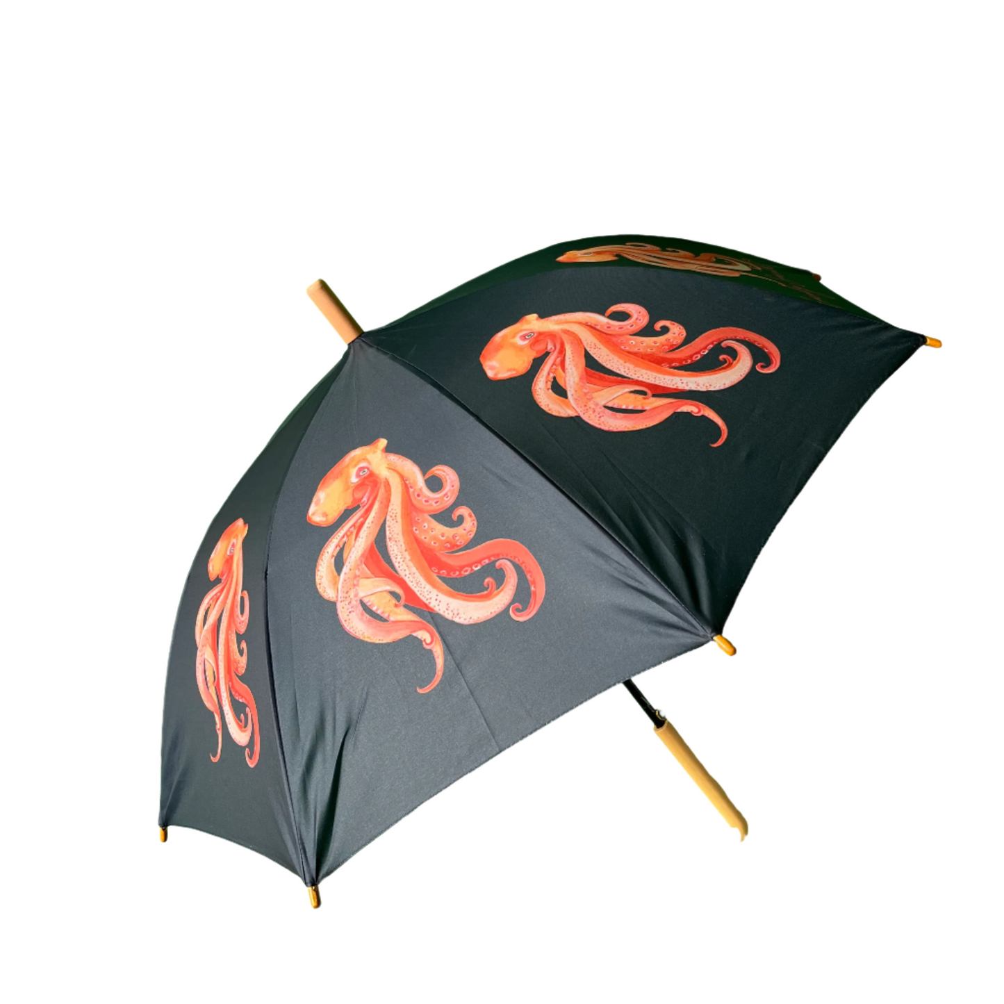 Emily Smith Designs Oscar Umbrella for Kids