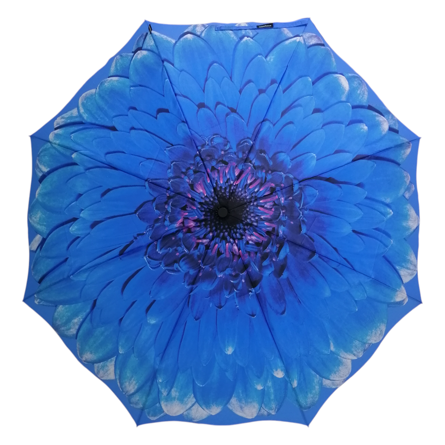 StormKing Folding Floral Umbrella Blue Daisy
