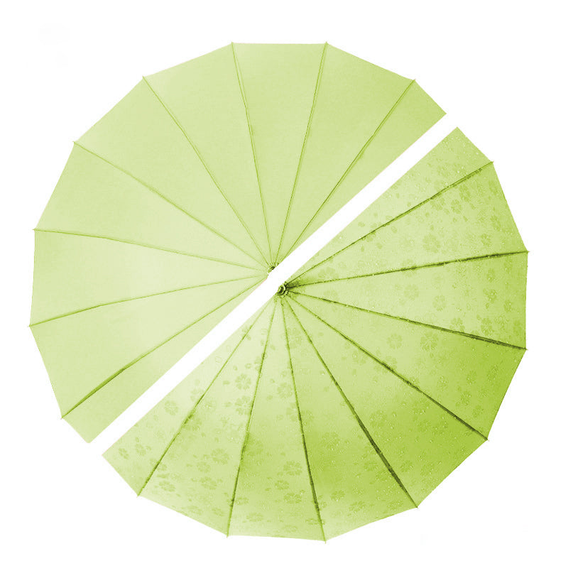 Everyday Classic Colour change Avocado Green
