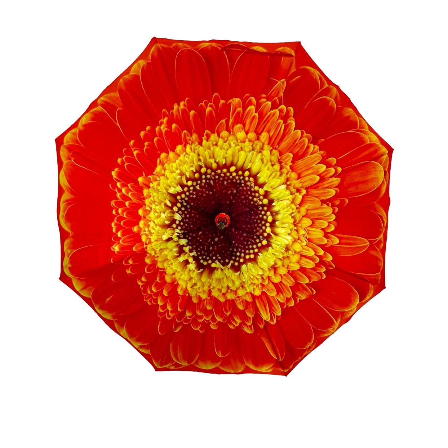 StormKing Floral Orange Daisy Classic Stick Umbrella