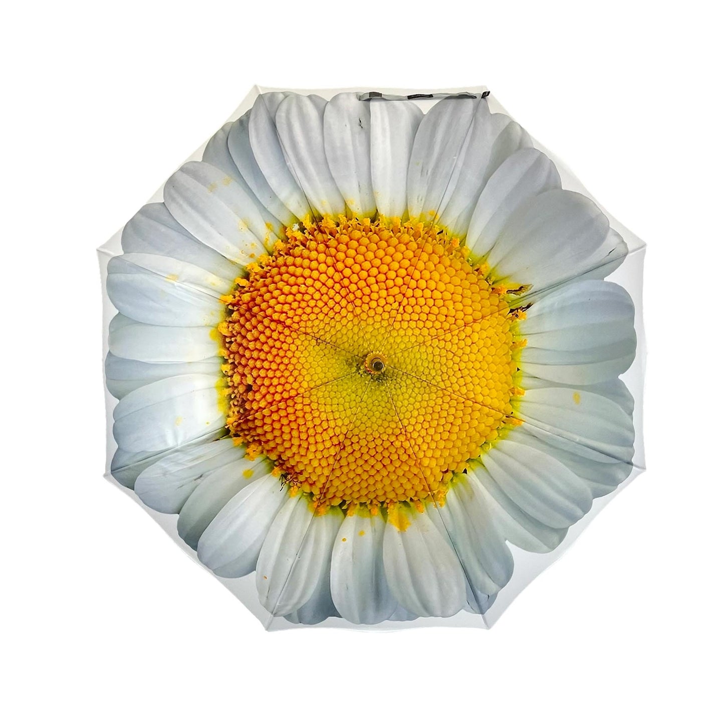StormKing Floral White Daisy Classic Stick Umbrella