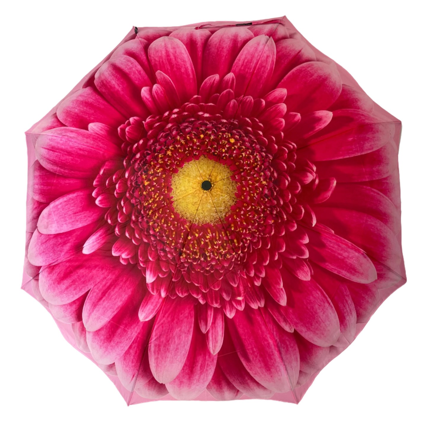 StormKing Folding Floral Umbrella Gerbera Daisy