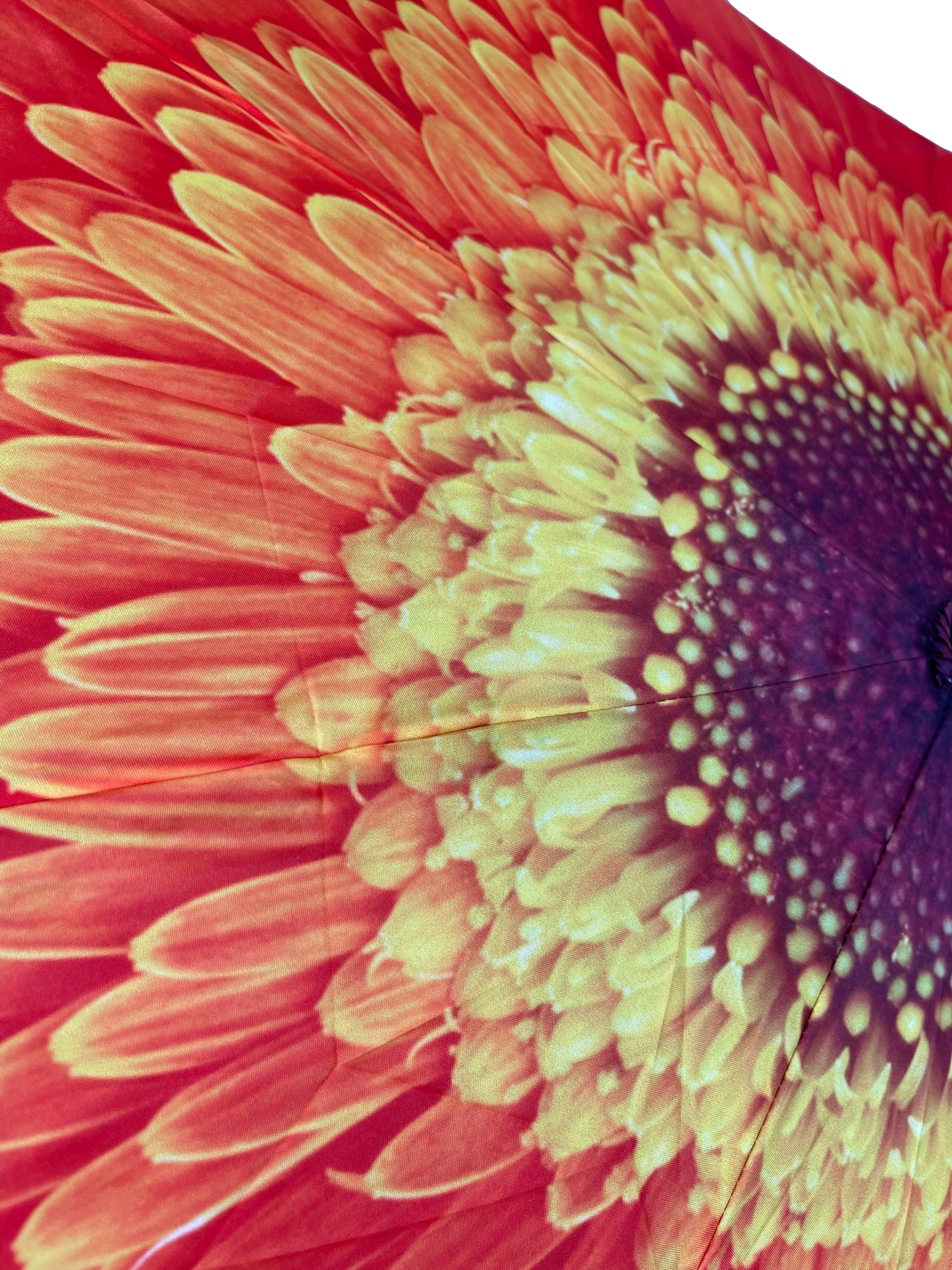 StormKing Folding Floral Umbrella Orange Daisy