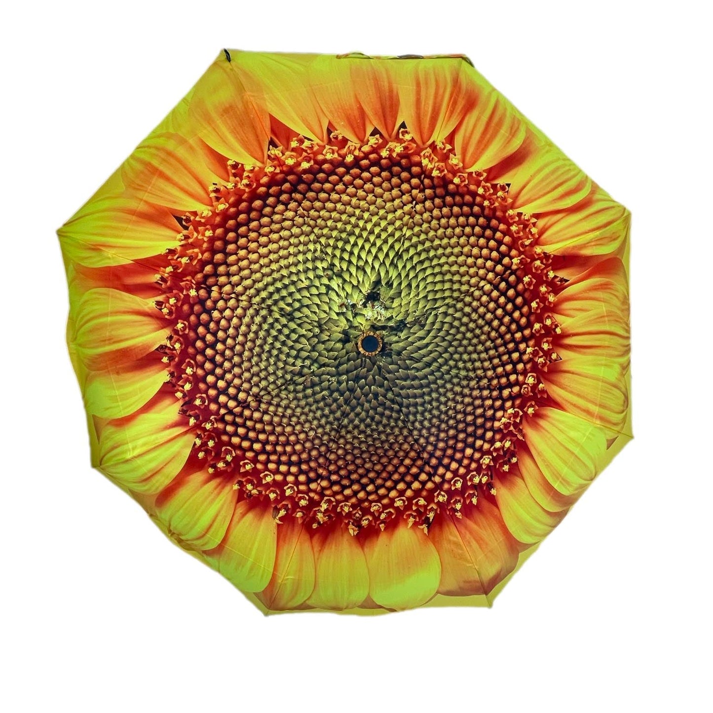 StormKing Floral Collection Sunflower Folding Umbrella