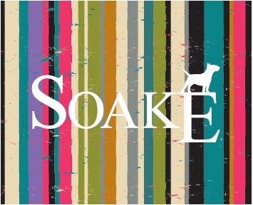 Why Soake?