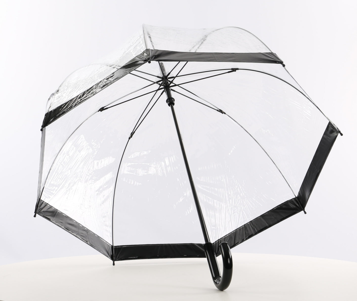 Everyday Clear Vinyl Dome Umbrella Black