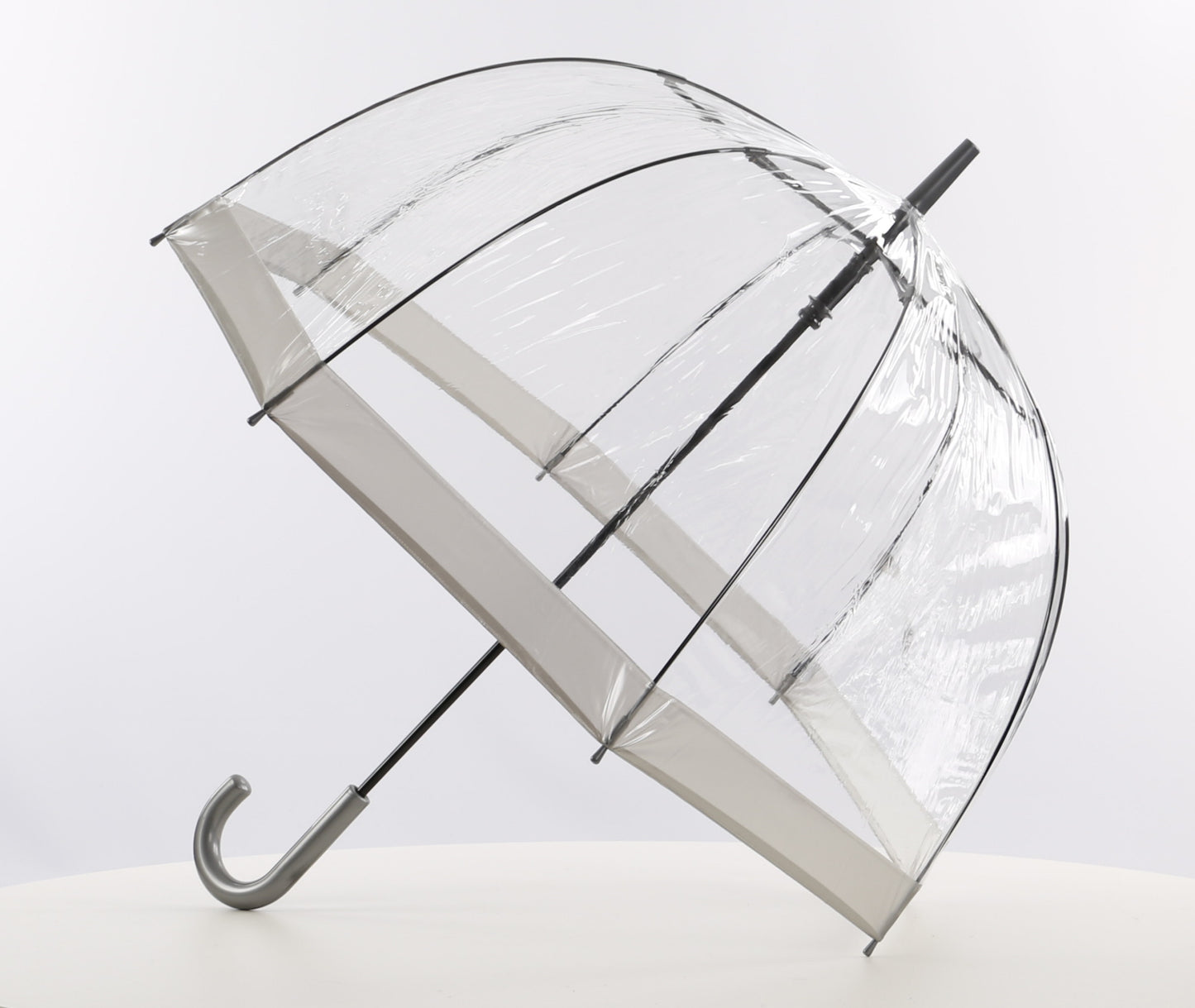 Everyday Clear Vinyl Dome Umbrella Silver