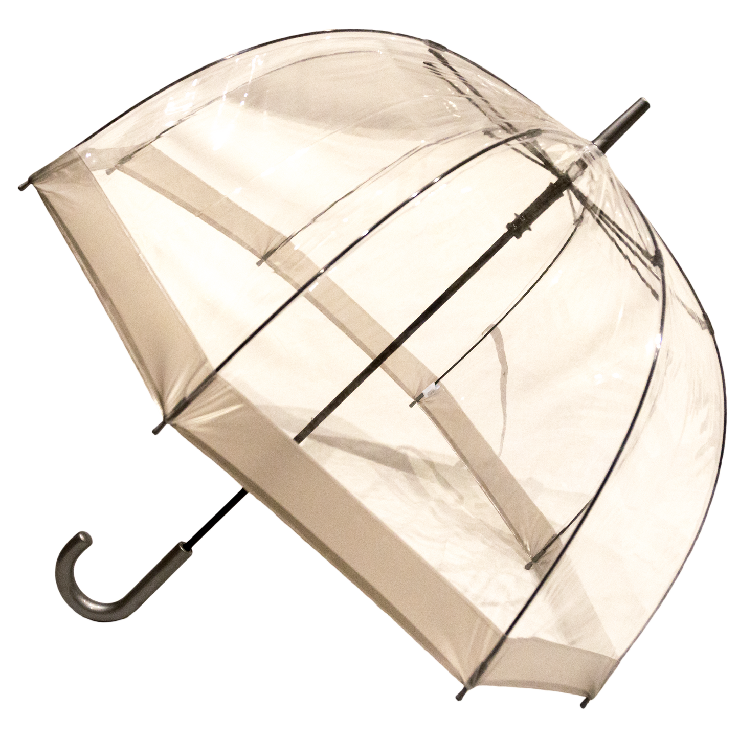 Everyday Clear Vinyl Dome Umbrella Silver