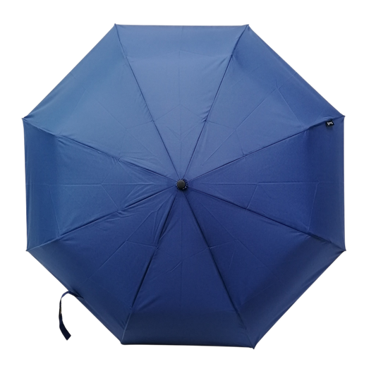 Everyday Navy Folding Umbrella Manual