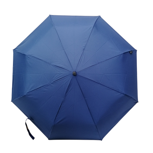 Everyday Navy Folding Umbrella Manual
