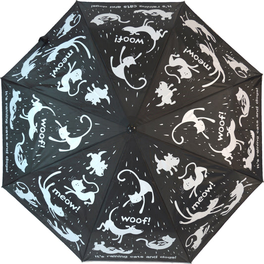 Everyday Raining Cats & Dogs Folding (with sleeve)