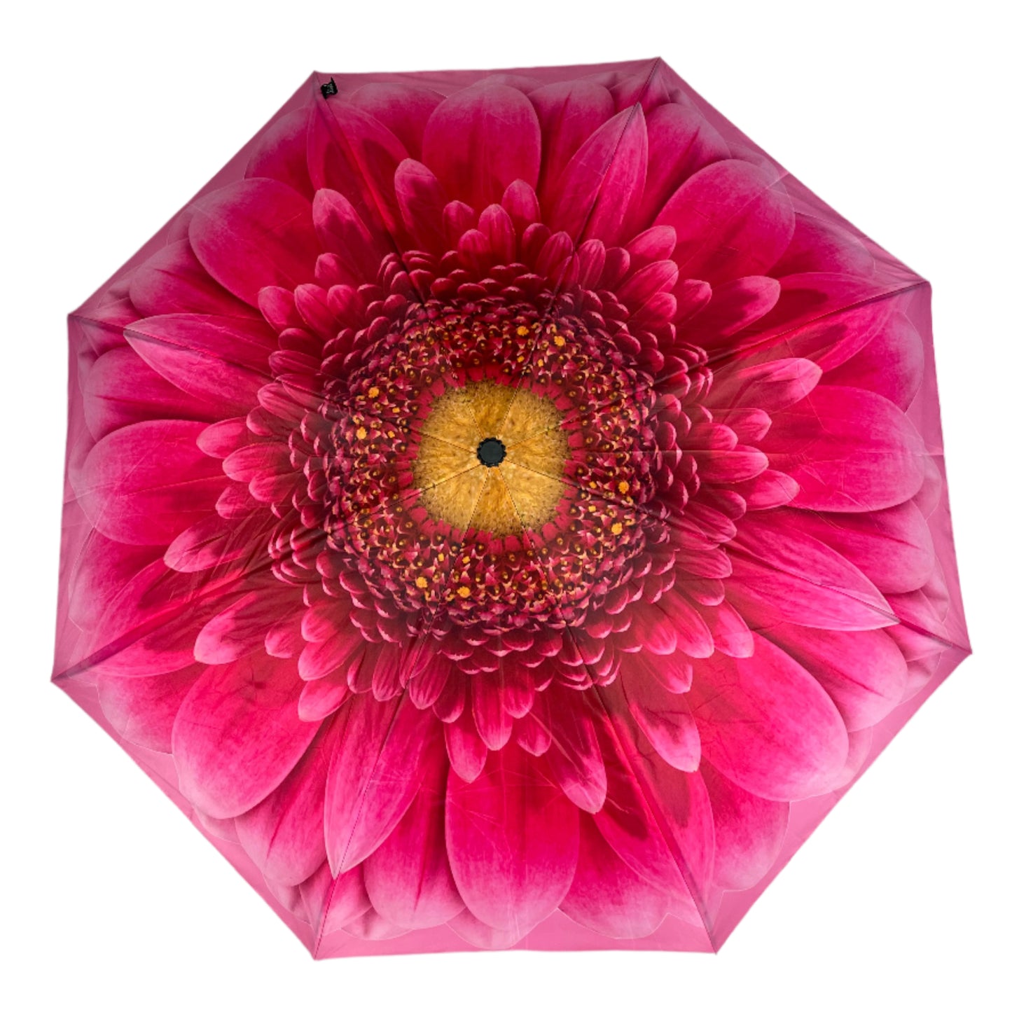 Everyday Inside Out Gerbera Daisy Stick