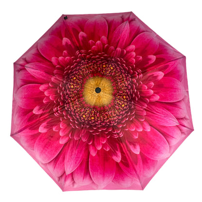 Everyday Inside Out Gerbera Daisy Stick