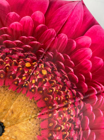 Everyday Inside Out Gerbera Daisy Stick