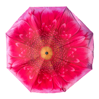Everyday Inside Out Gerbera Daisy Stick